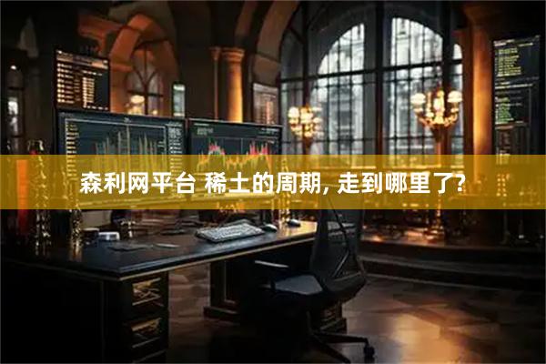 森利网平台 稀土的周期, 走到哪里了?