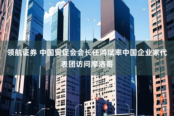 领航证券 中国贸促会会长任鸿斌率中国企业家代表团访问摩洛哥
